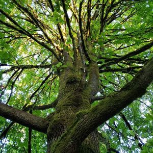 Meet your Posher, Annette